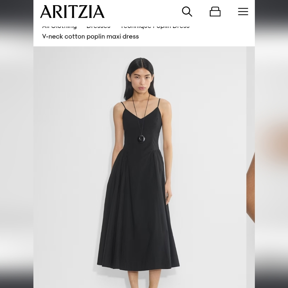 Aritzia BabatonTechnique Poplin Dress
